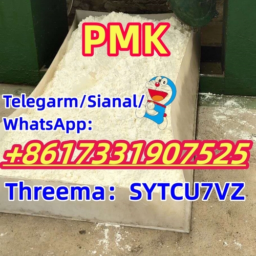 sale CAS 28578-16-7 PMK ethyl glycidate WhatsApp:+525