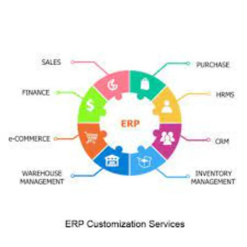 ERP Customization Services