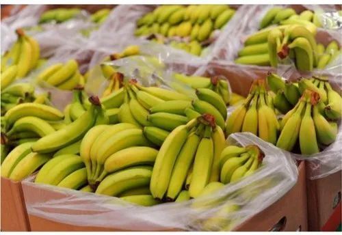 100% Natural And Pure Organic Fresh Cavendish Banana