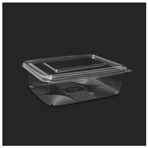 Disposable SD Rectangle CC PET Container 600CC