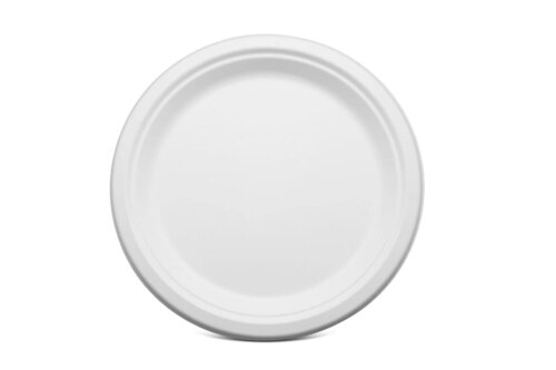 Saras 11 Inches Plain Disposable Bagasse Plates