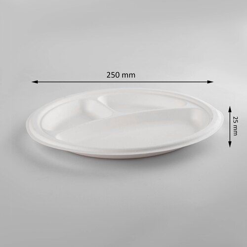 Bagasse Disposable Partition Plates 9