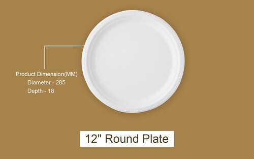Bagasse Disposable Plates Plain 12 Inches