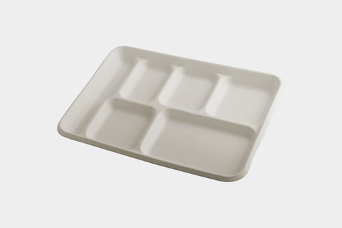 Saras Rectangular Disposable Bagasse Tray EE 6x6