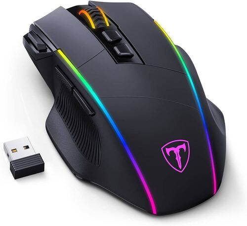 computer mouse 