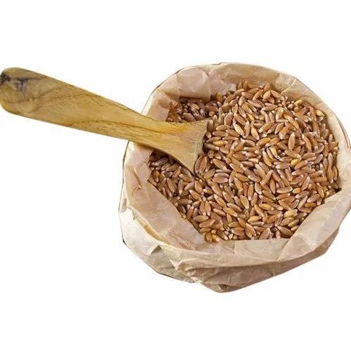 100% Natural And Pure Organic Khapli Wheat