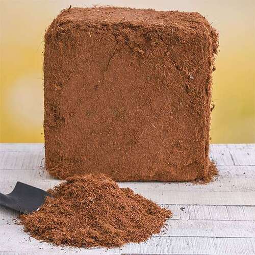 Natural Brown Coco Peat Blocks