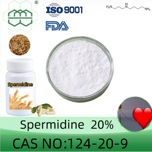 Spermidine Cas No.:124-20-9-0 20.0% For Anti-aging