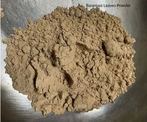 Curry Leaves Powder