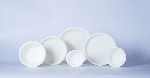 Disposable Paper Bio Plates 10 Inches