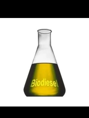 bio diesel