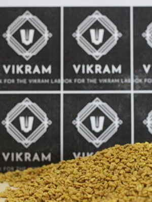 methi seeds