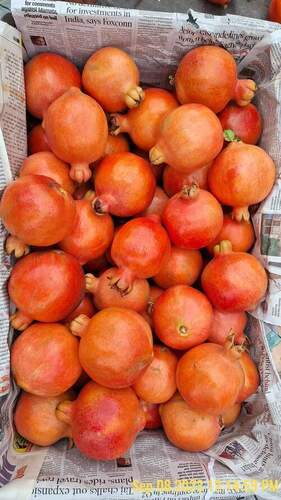 Indian Origin Export Quality Fresh Pomegrantes