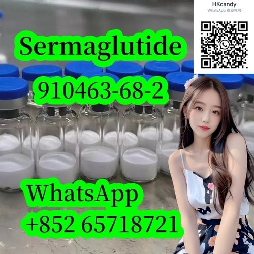 Anti-obesity Drugs 910463-68-2 Sermaglutide