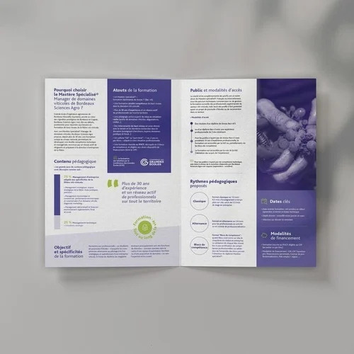 Booklet Designing Services By Esperance Technologies Pvt. Ltd.