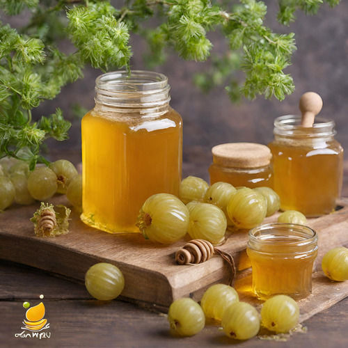 Organic Amla Honey 