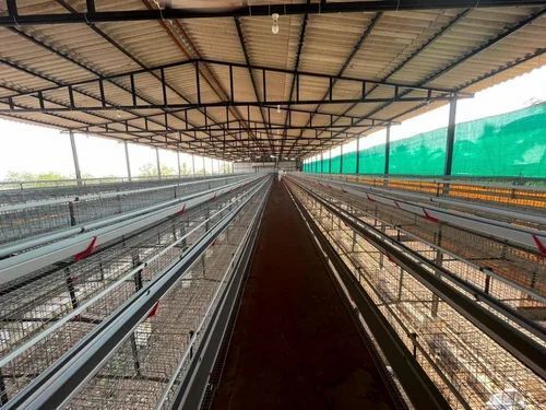 Multi Color Gi Wire Material Poultry Cages For Poultry Farm