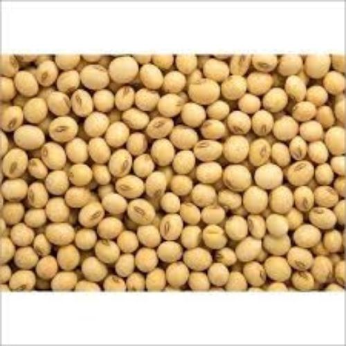 Dried Natural Premium Soya bean