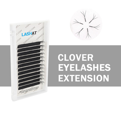 4D 8D Clover W Shape Individual Natural Lash C D L LU Curl Qingdao Wholesale Mink Eyelash