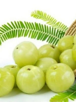 amla powder