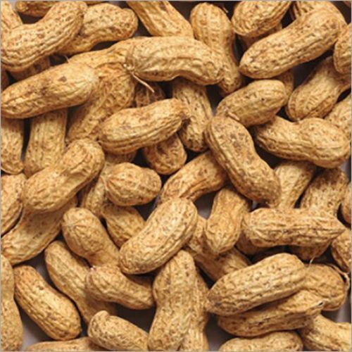 Whole Shell Groundnut Kernels