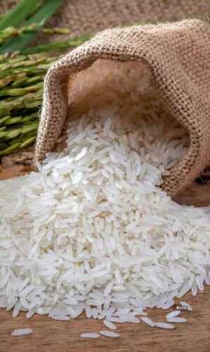   Common Fresh Basmati Rice