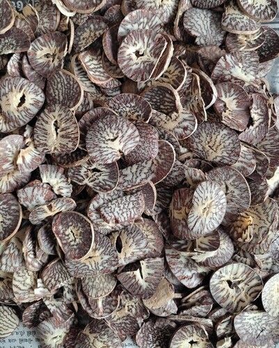 Betel Nuts at Best Price in Morbi, Gujarat | Janta Pan