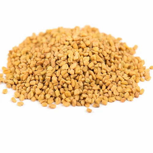 Natural And Organic Pure Yellow Fenugreek Seeds 