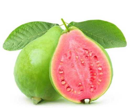 Sweet Green Round Shape Guava