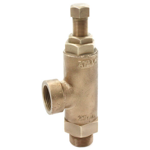 Golden Anti Rust Bronze Pressure Relief Valve