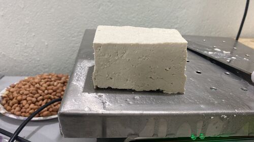 SOYA PANEER (TOFU)