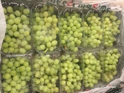 Fresh Grapes