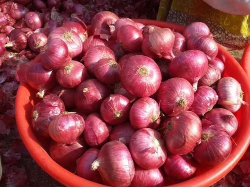 Indian Origin Farm Fresh Onion