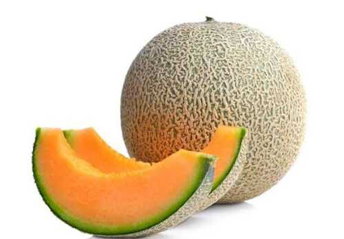 melon