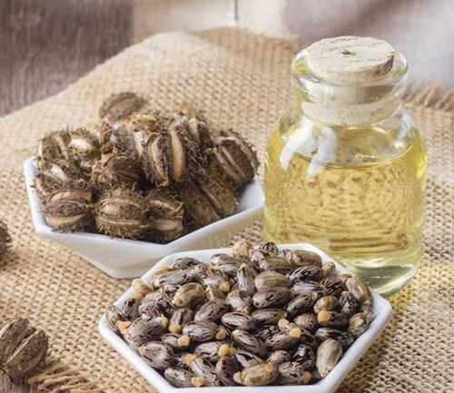 Pure and Fragrance Free Organic Castor Oil 