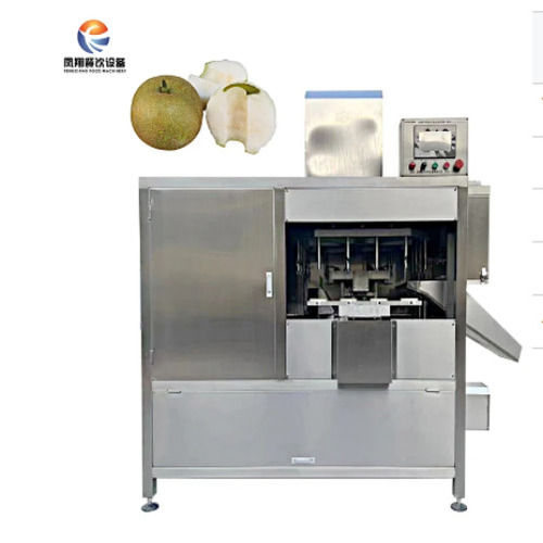 Commercial Multifunction Fruit Processing Machine