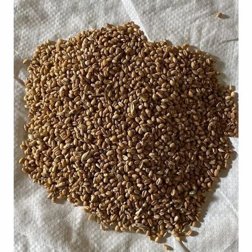 Granule Wheat Broken Cattle Feed