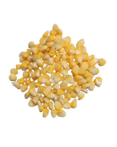 Frozen Good Dried Corn Kernels