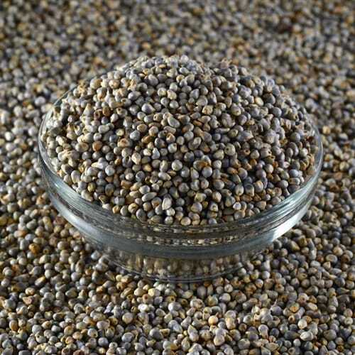 Free From Impurities Bajra Seeds