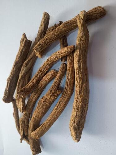 Dried Indian Costus Root at 1.00 INR in Srinagar | Azad Agro Traders