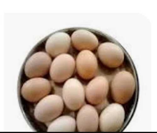 Natural Brown Poultry Farm Eggs