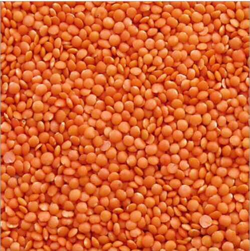 Non Polished Dried Organic Splited Masoor Dal