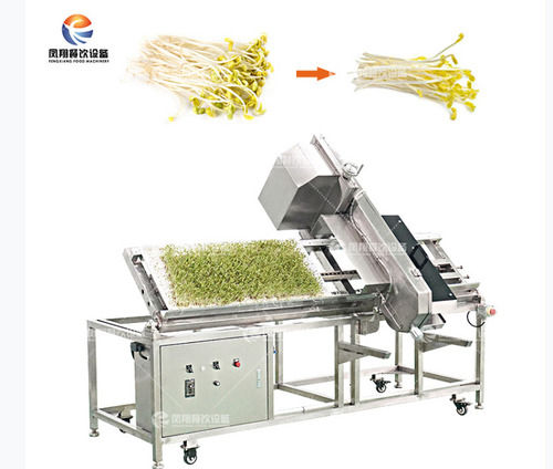 Bean sprout cutting machine