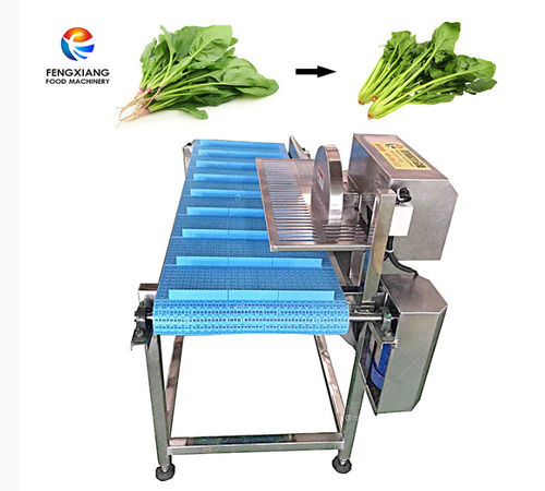 Celery leaf, coriander root cutting machine