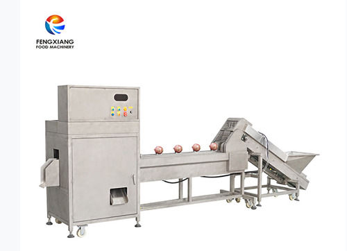 Semi Automatic onion head and tail cutting machine