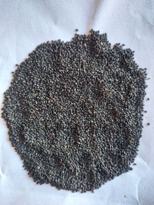 Organic Black Sesame Seeds