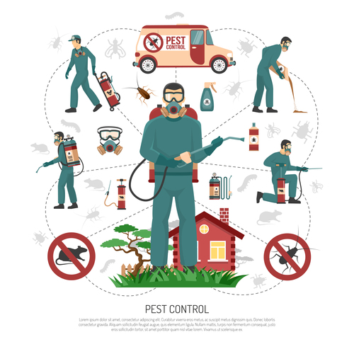Pest Control Services
