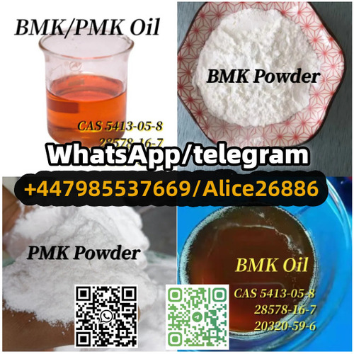 CAS 28578-16-7/20320-59-6/5413-05-8/13605-48-6 BMK/PMK /liquid 