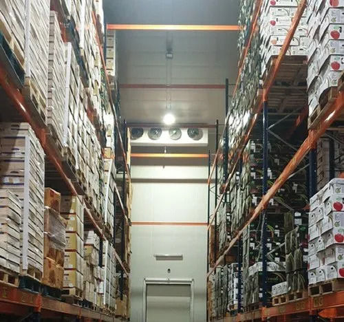 Pharma Cold Storage Room