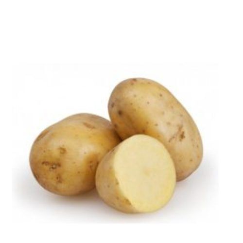 Indian Origin Naturally Grown Fresh Potatoes